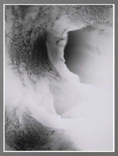 Shadow #6