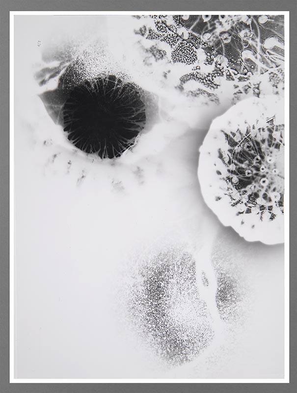 Shadow #24