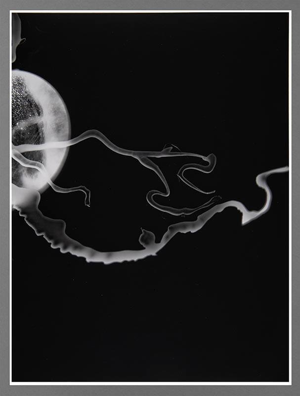 Shadow #31