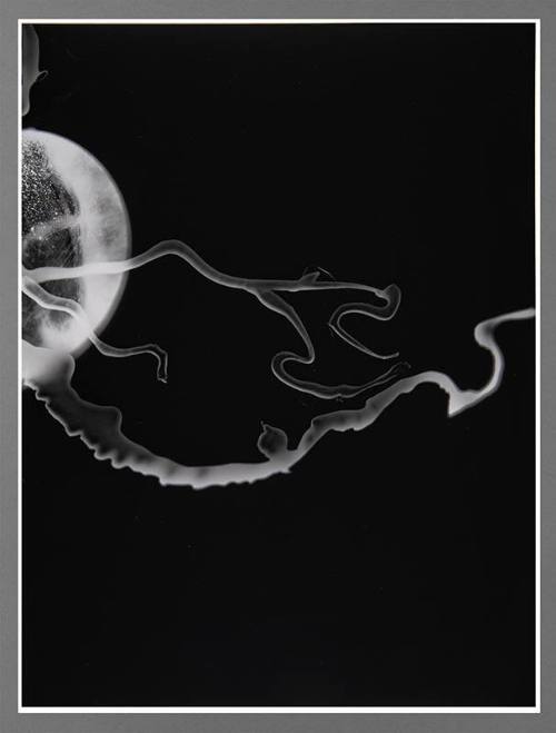 Shadow #31