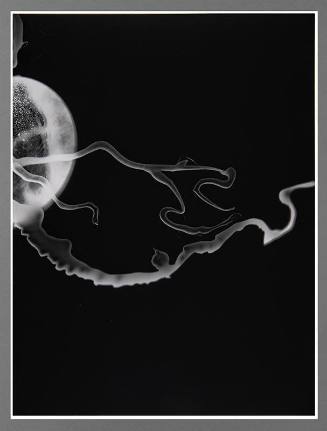 Shadow #31