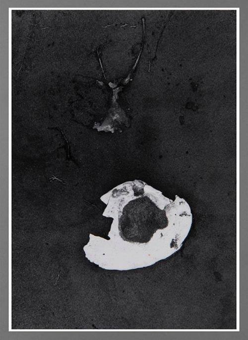 Shell