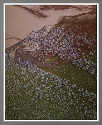 Water - Elephant Butte Reservoir