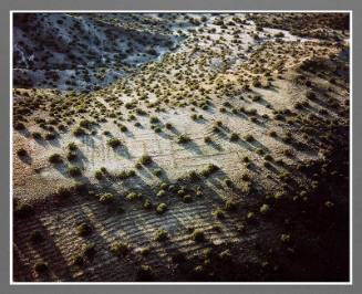 Farmland - Anasazi, Farms, Jemez Mountains