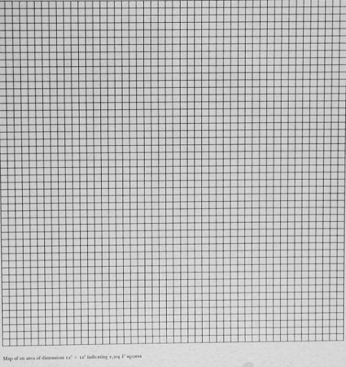 Map of an Area of Dimensions 12 x 12 indicating 2,304 1/4" squares