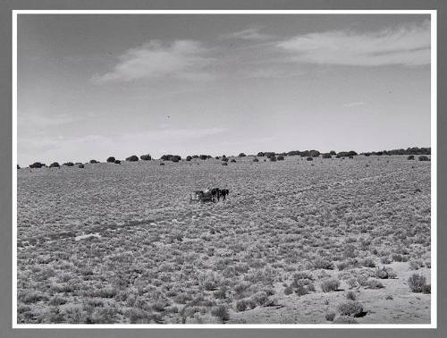 Pie Town, New Mexico