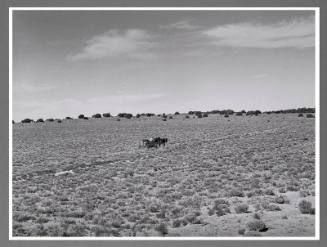 Pie Town, New Mexico