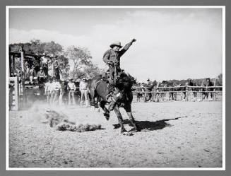 Bean Day Rodeo (Wagon Mound, New Mexico)
