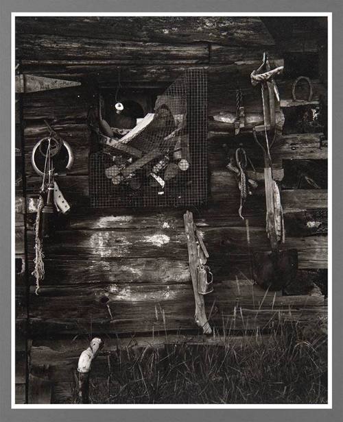 Assemblage of Objects on Wall, North Shore, Lake Superior