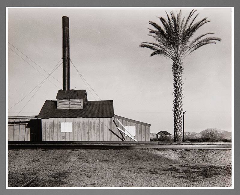 Powerhouse and Palm Tree Near Lordsburg, New Mexico