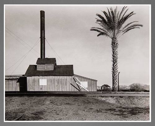 Powerhouse and Palm Tree Near Lordsburg, New Mexico