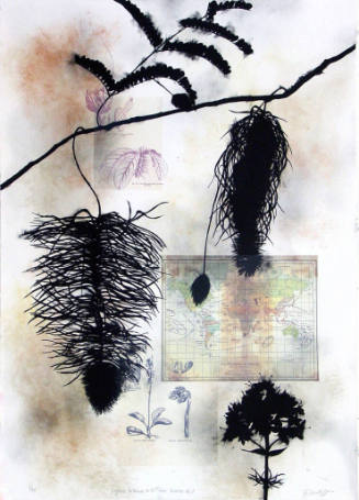 Regiones Botanicas de la Tierra: Antilles No. 1