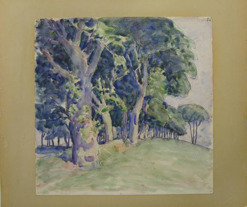 Row of Sycamores