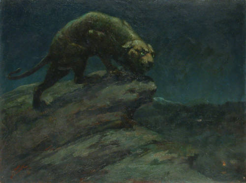Untitled (Panther on Crag at Night)