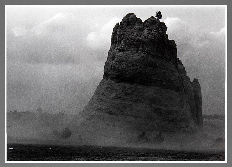 Untitled (Rock formation with Tree)