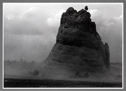 Untitled (Rock formation with Tree)