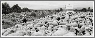 Near Tierra Amarilla, New Mexico (from the series Descendents)