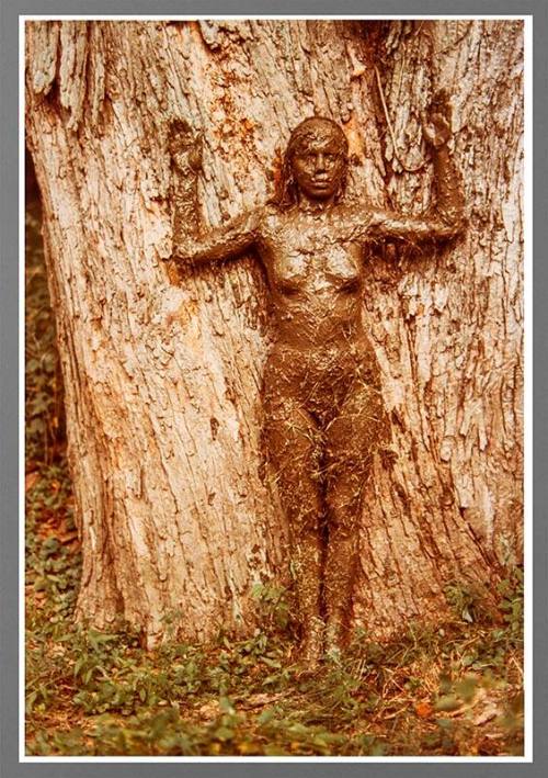 Arbol de la Vida