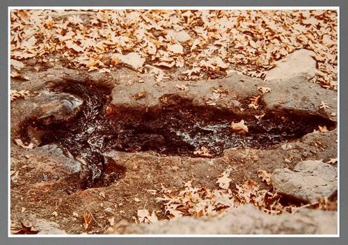 Ana Mendieta