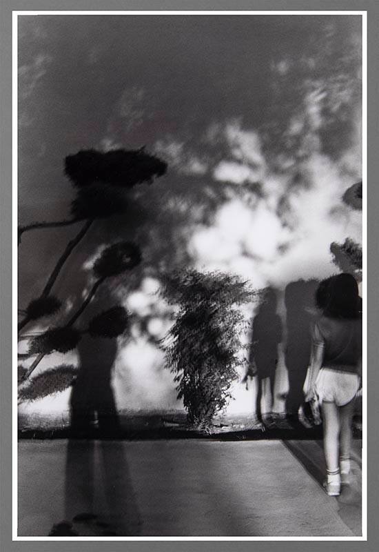 Untitled: from the Series Welcome to the Land of Enchantment