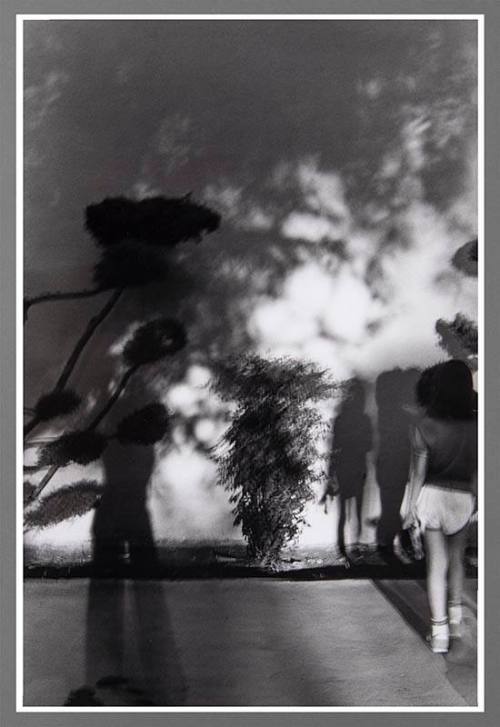 Untitled: from the Series Welcome to the Land of Enchantment