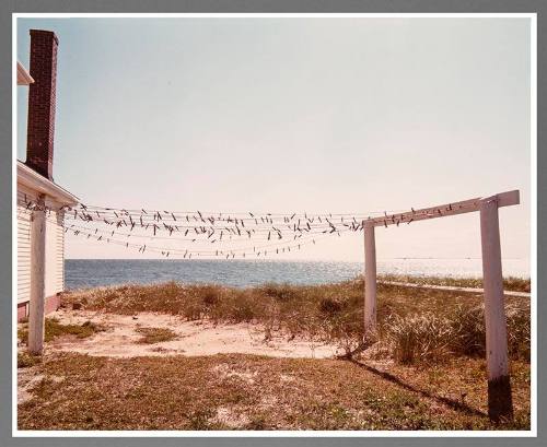 Clothesline, Provincetown, Massachusetts