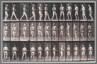 Animal Locomotion, Plate 355
