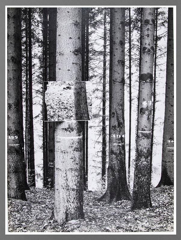 Untitled (Photographs of Arnatt site)