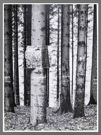 Untitled (Photographs of Arnatt site)