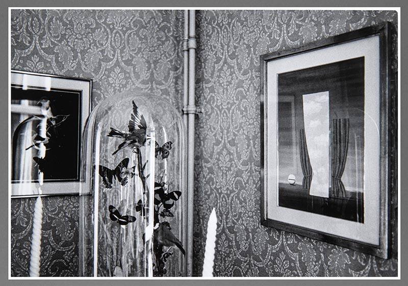 Terrarium, Interior Magritte's Home