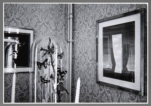 Terrarium, Interior Magritte's Home