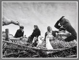 Lithuanian Village Market No. 71