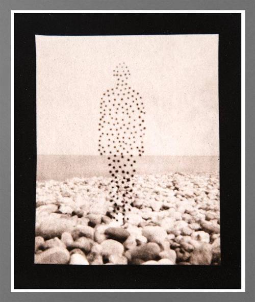 Dot Lady