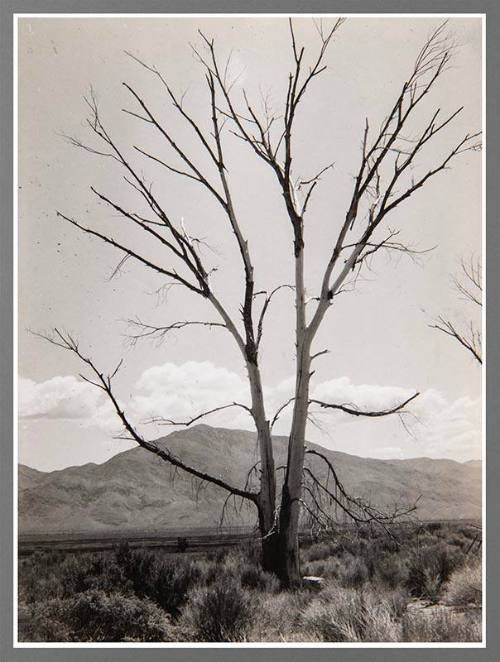 Nancy Newhall