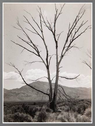 Owens Valley