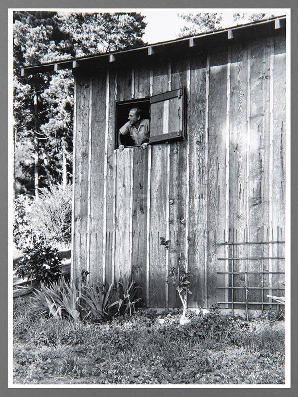 Edward Weston – Works – eMuseum