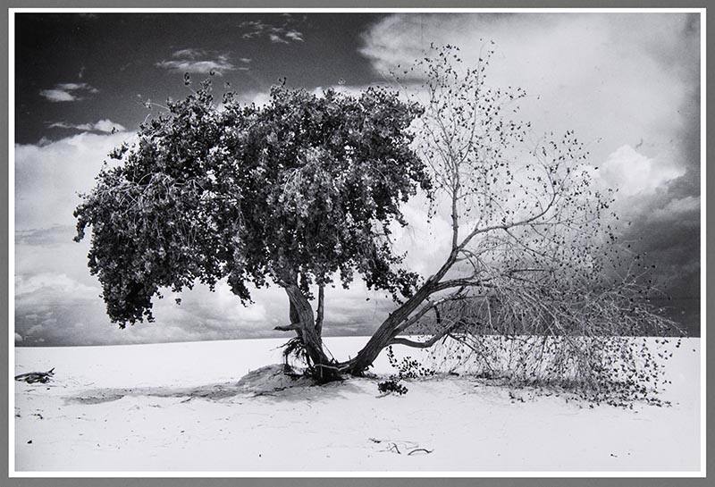 White Sands