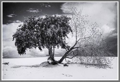 White Sands