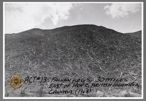 Fallen Logs, 30 Miles of Hope, Brtitish Columbia, Canada