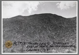 Fallen Logs, 30 Miles of Hope, Brtitish Columbia, Canada