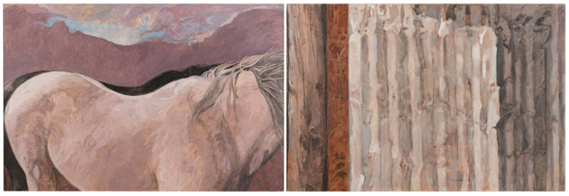 Horses and Corrugated Barn