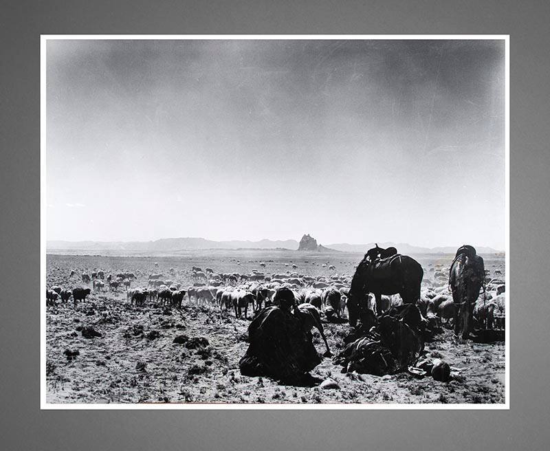 Shepherds in the Desert