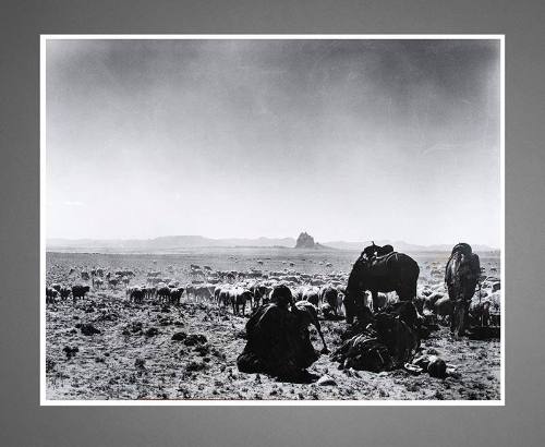 Shepherds in the Desert