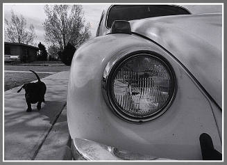 Untitled (Volkswagen and Dachshund)