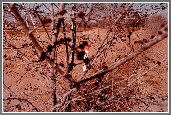 Untitled (Albuquerque, New Mexico)