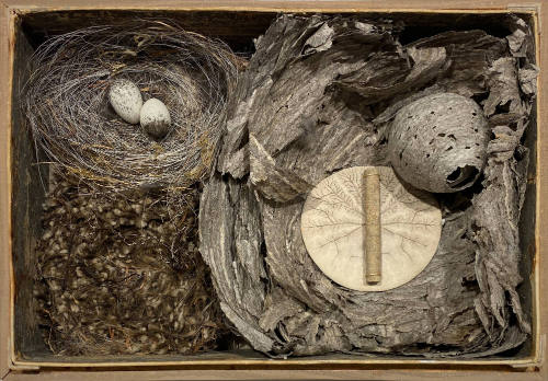 Love Nest