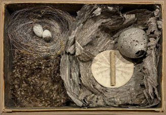 Love Nest