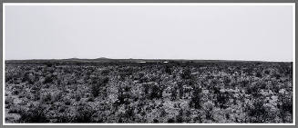 Black River Village, New Mexico