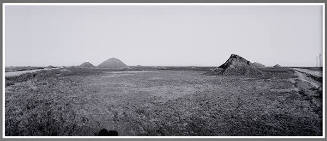 Chaves County Cattle Company, near Roswell, New Mexico, 1983