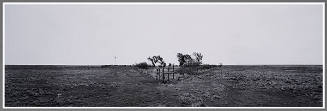 Untitled (Landscape)